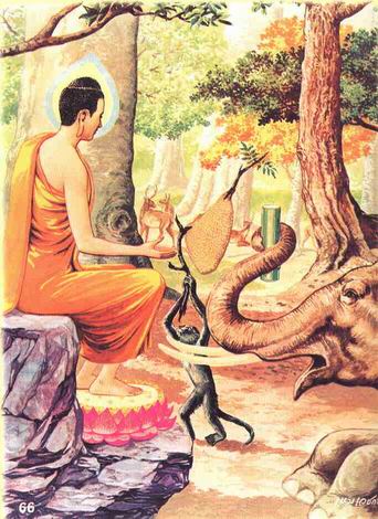 buddha5 รูปพระพุทธเจ้า วันออกพรรษา